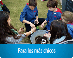 chicos.png