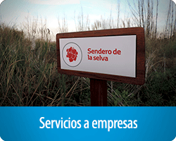 empresas.png