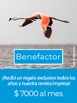 Benefactor .png