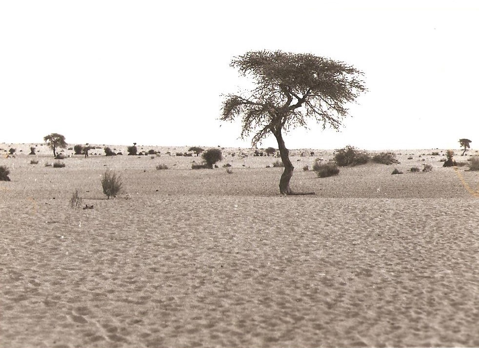 Sahel 1.jpg