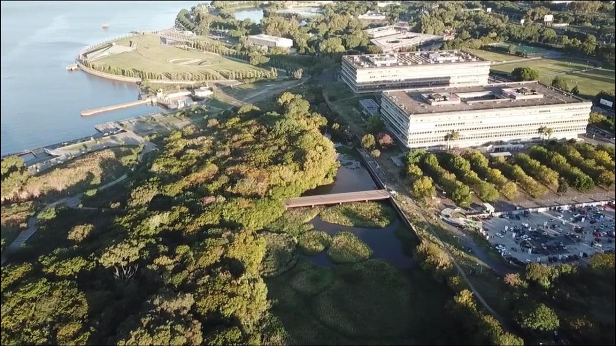 WhatsApp Image 2018-04-17 at 10.16.24.jpeg