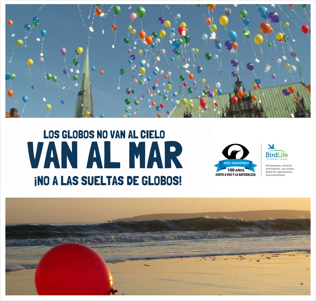 Los globos no van al cielo van al mar Aves Argentinas Los globos no van al cielo van al mar Aves Argentinas